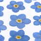 925 Sterling Silver Floral Flower Shape Stud Earrings