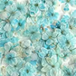 925 Sterling Silver Floral Flower Shape Stud Earrings