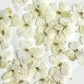 925 Sterling Silver Floral Flower Shape Stud Earrings